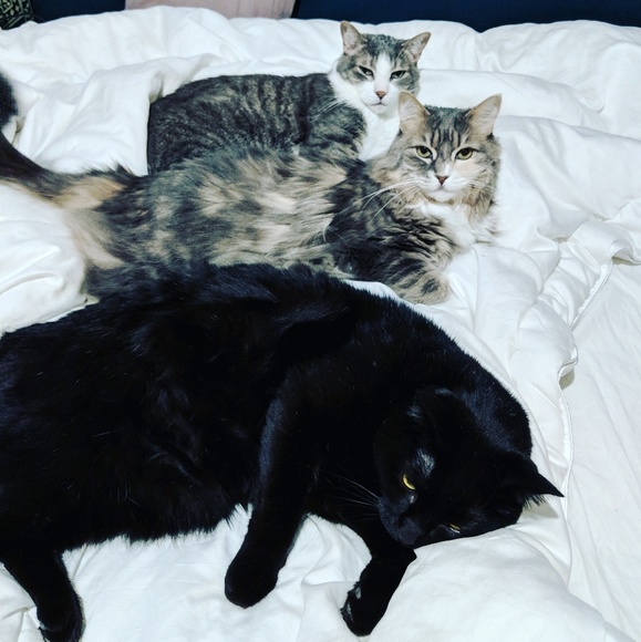 🌈❤CLOSING SHOP🌈❤GREAT DEALS🌈❤ - Picture 5 of 8